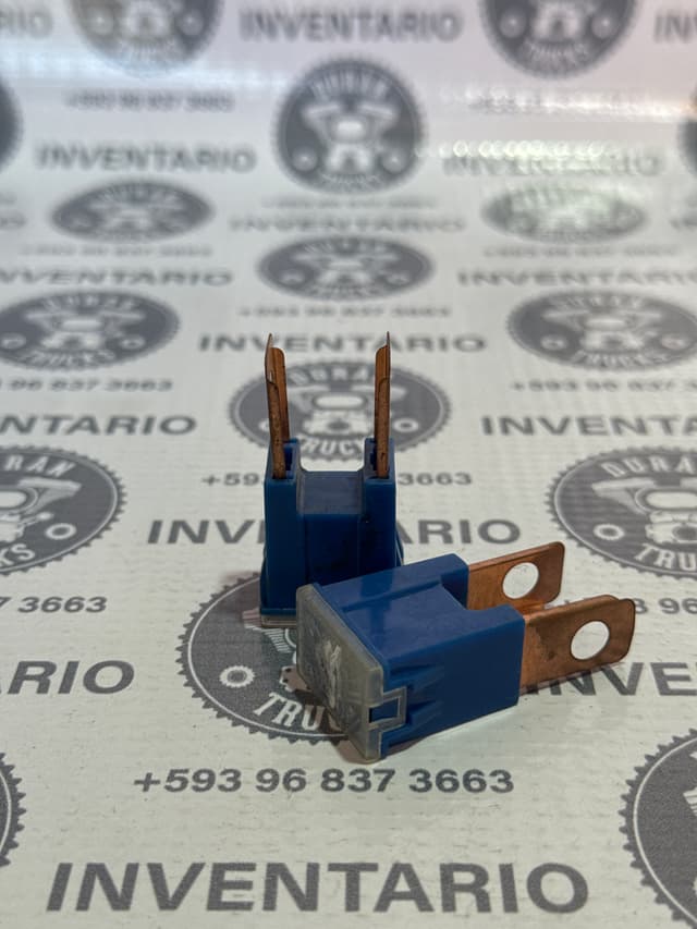 FUSIBLE GRANDE TERMICO DE 100 AMP COLOR AZUL