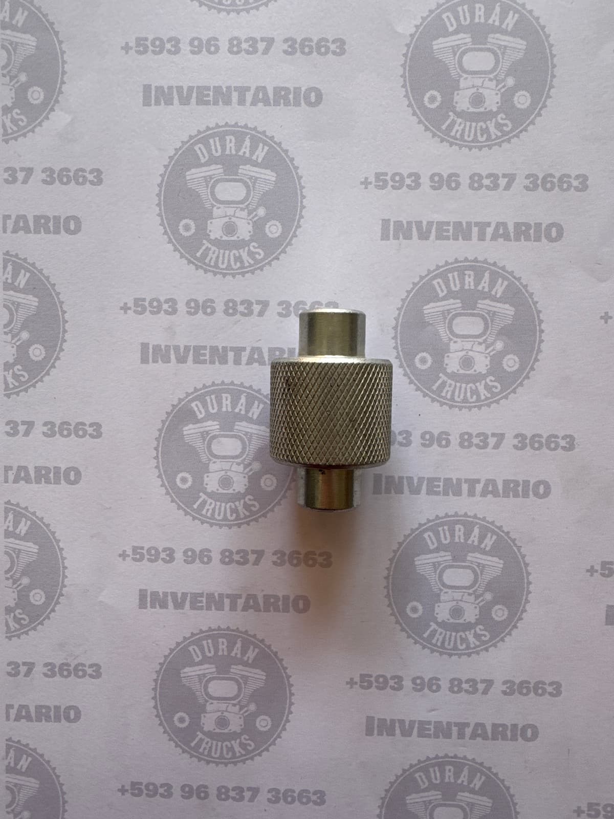 RODILLOS O BOLILLOS Volkswagen 