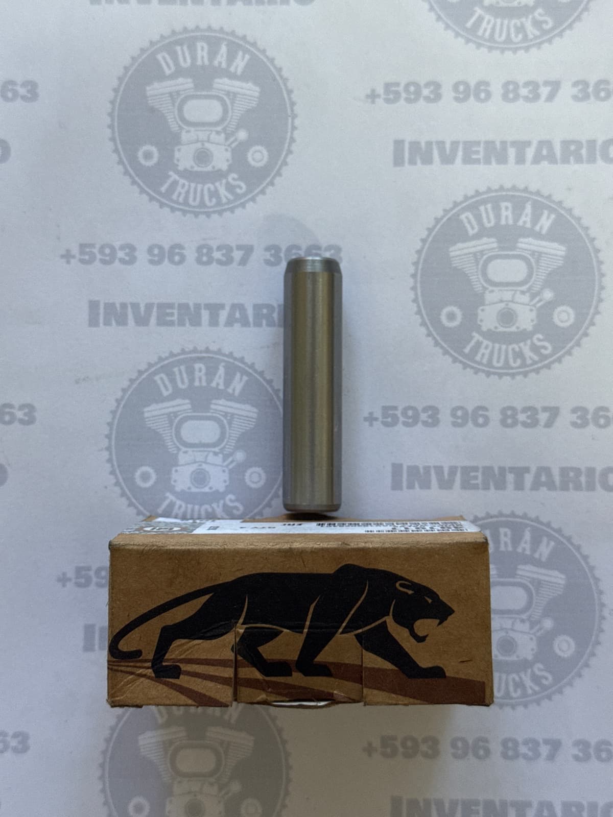 GUIAS DE VALVULA 5/16" INTERNACIONAL DT466 AÑO 93 HASTA 97