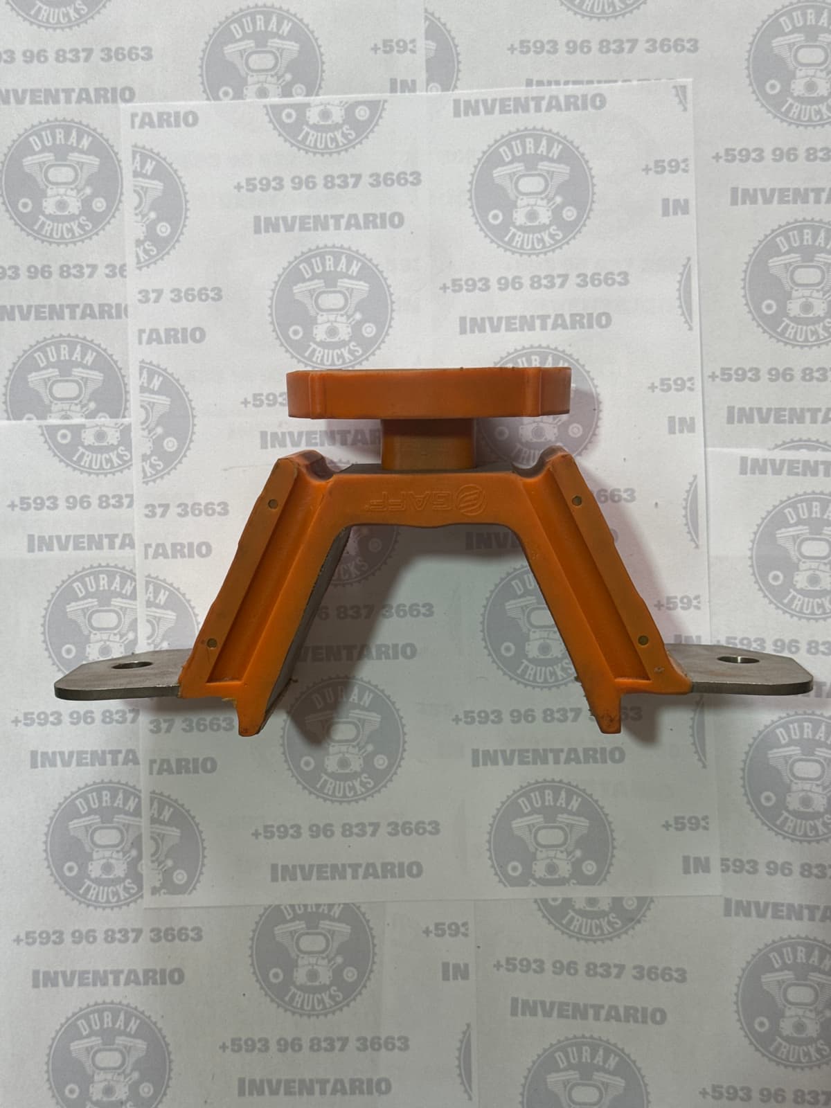 BASE POSTERIOR FREILAINER COLUMBIA 