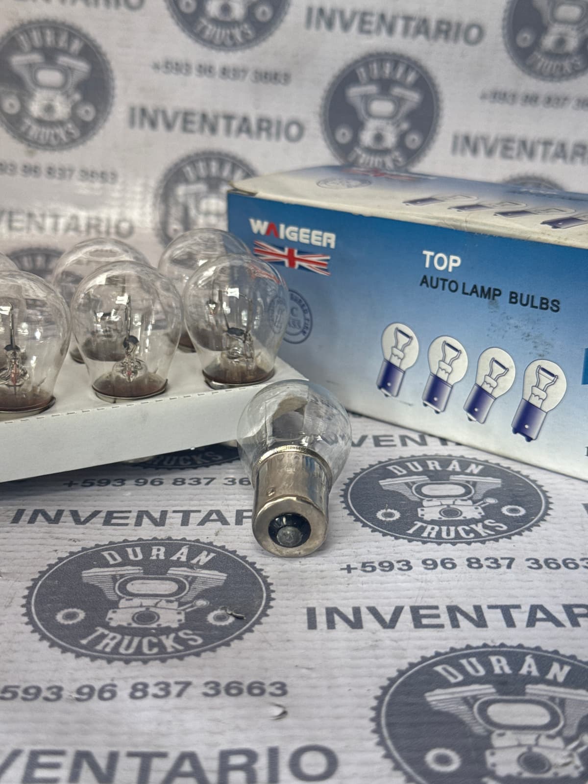 BOMBILLOS 1P