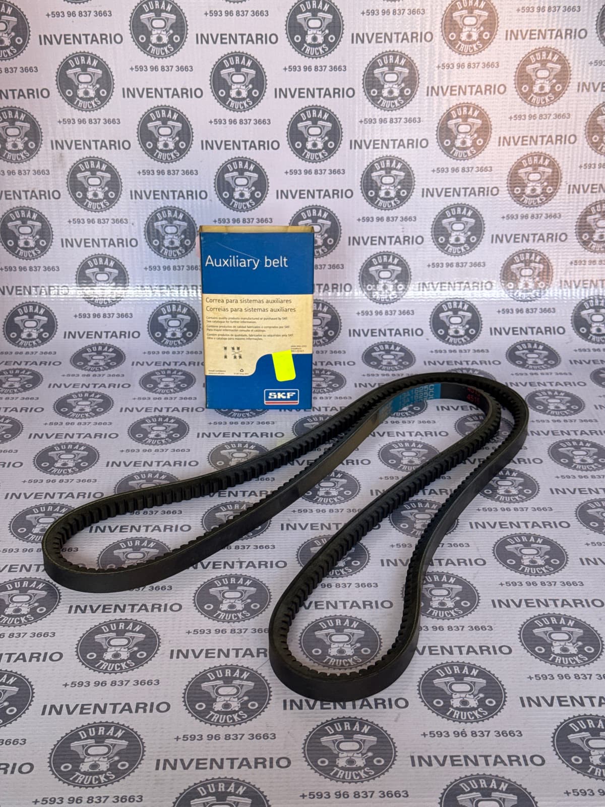 BANDA DENTADA