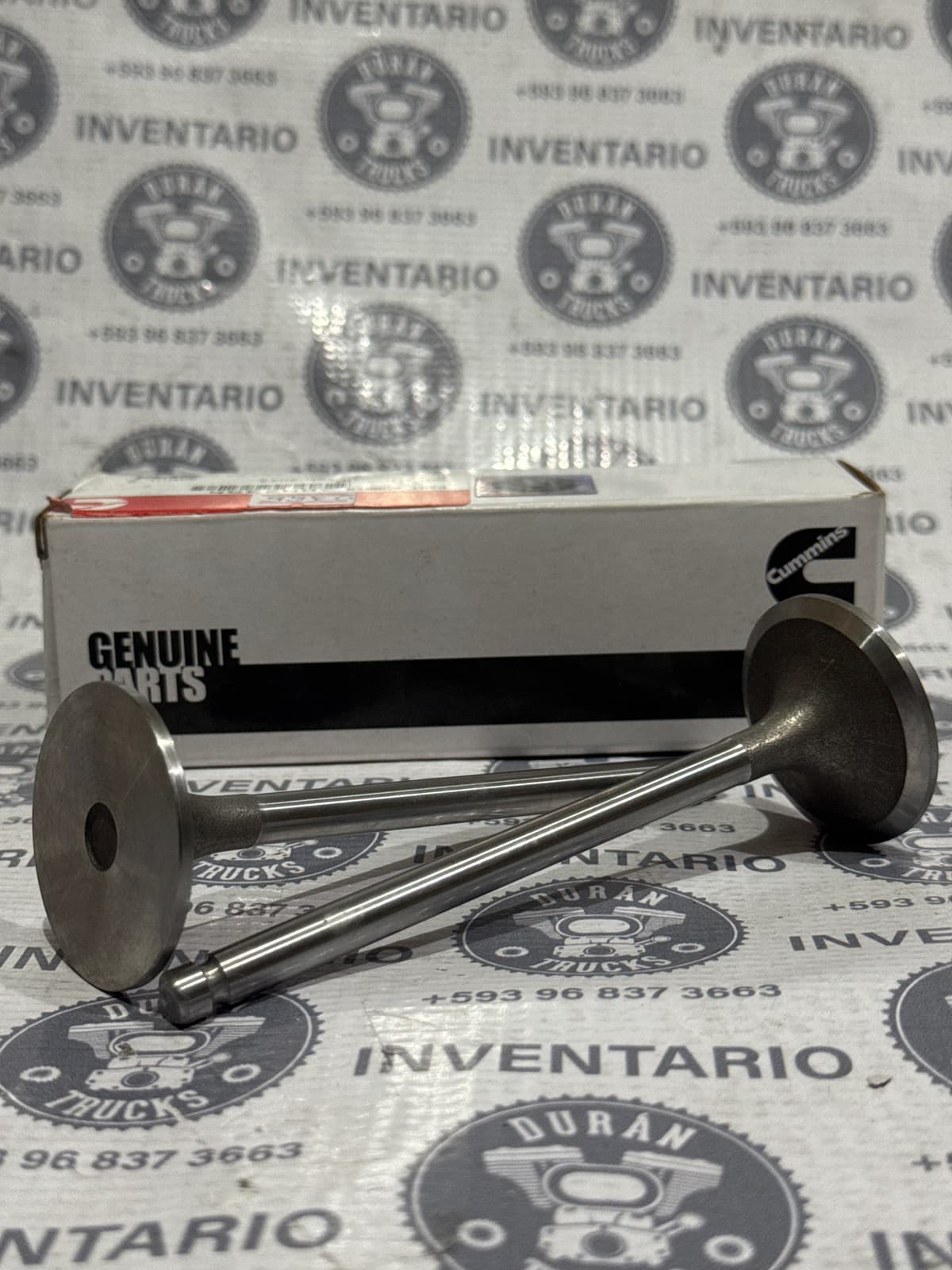 VALVULA DE ADMISION CUMMINS 4BT 6BT