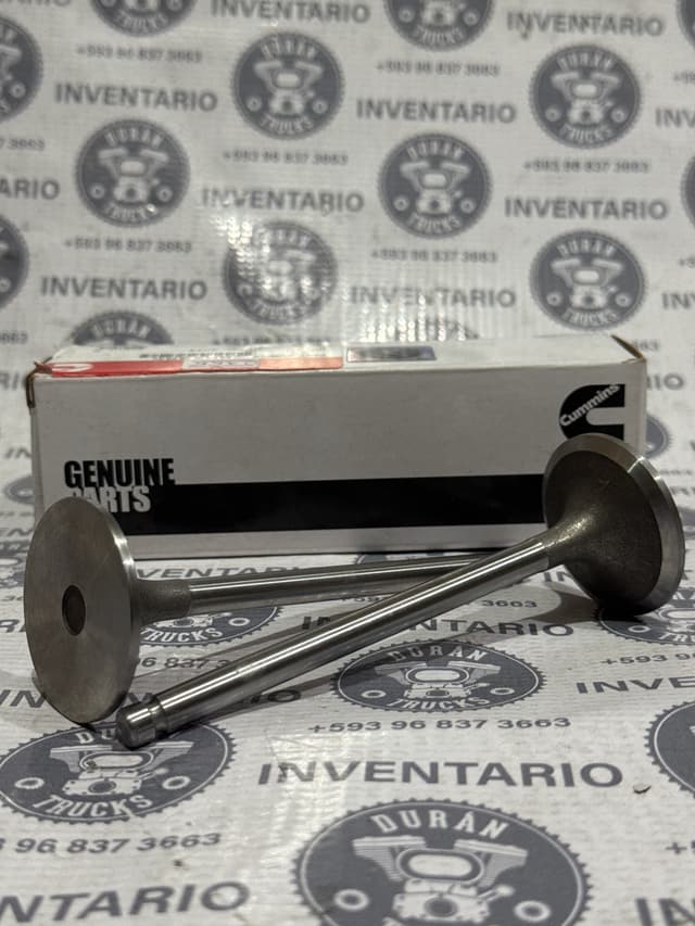 VALVULA DE ADMISION CUMMINS 4BT 6BT
