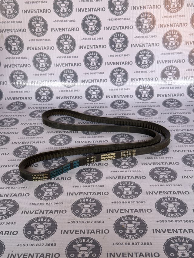 BANDA DENTADA
