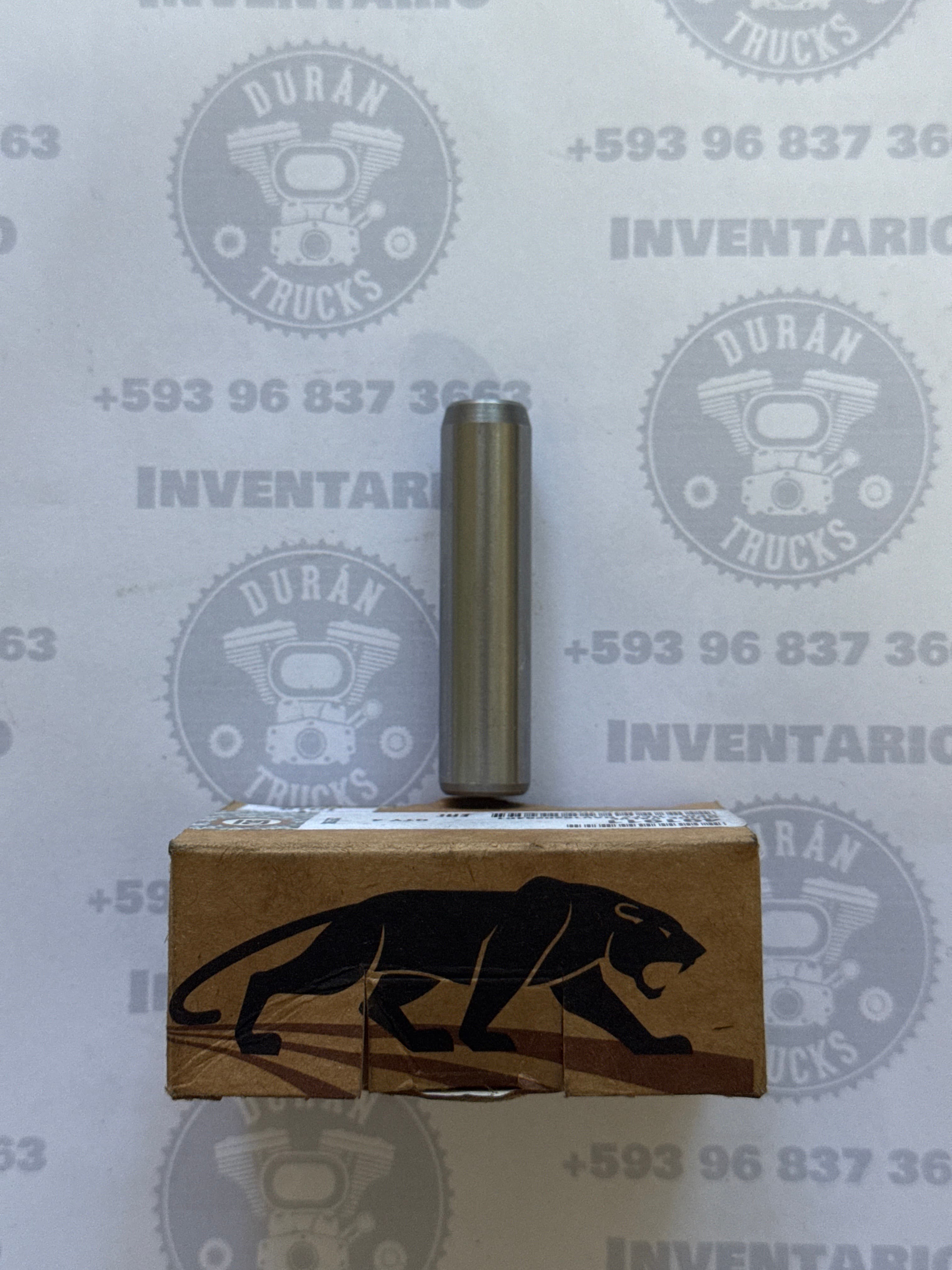 GUIAS DE VALVULA 5/16" INTERNACIONAL DT466 AÑO 93 HASTA 97