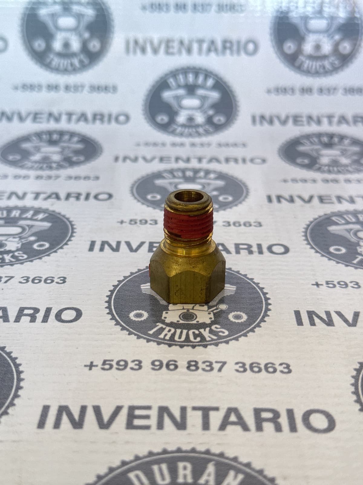 FOCO CUCUYA DE BISERA INTERNATIONAL 9200