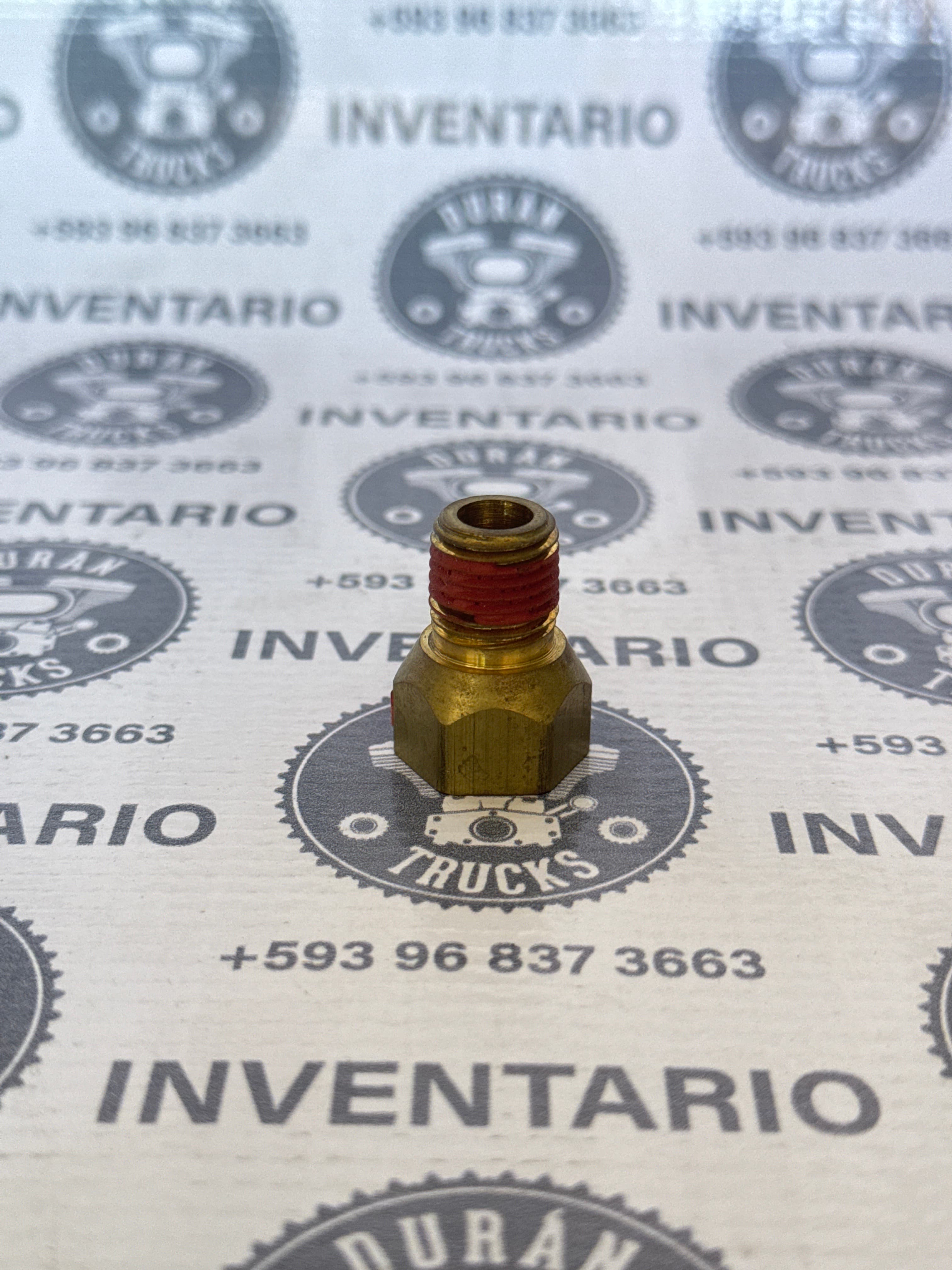 FOCO CUCUYA DE BISERA INTERNATIONAL 9200